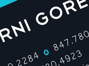 Marni Gore Interiors